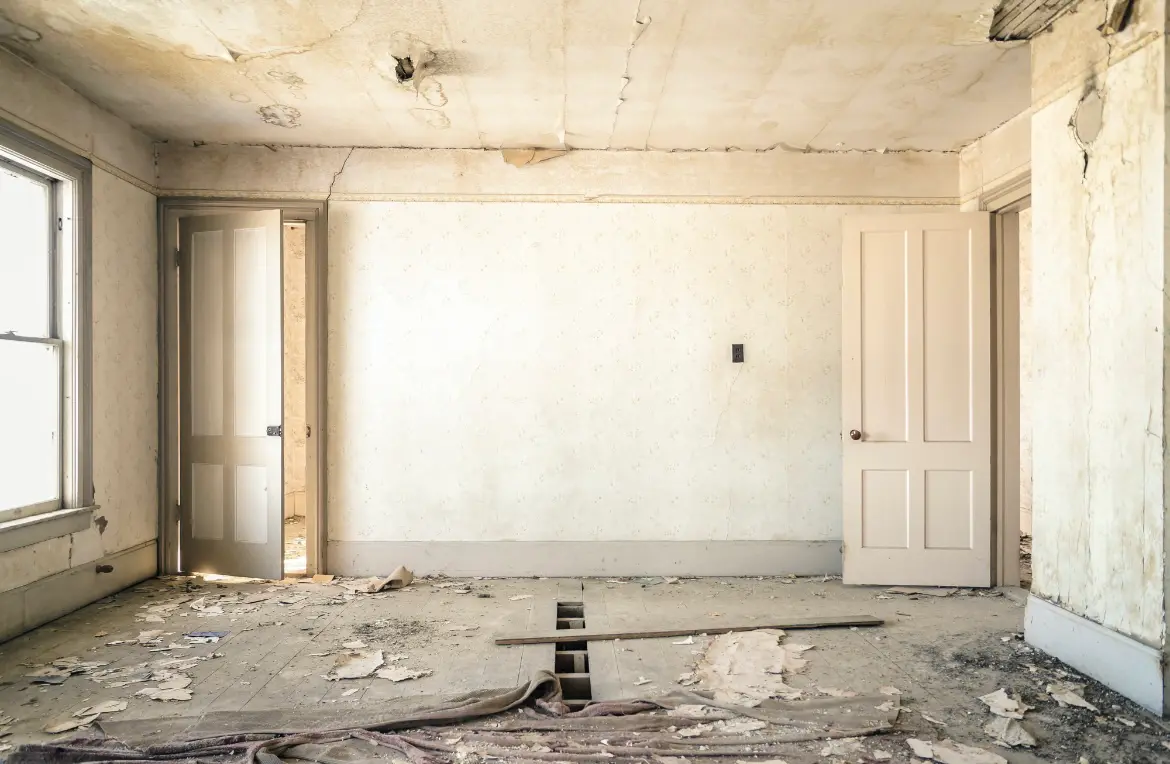 Waste disposal crew managing a cleanout project in Hastings